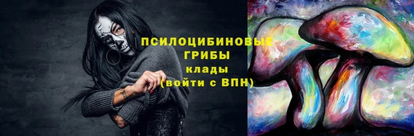 прущие грибы Зеленодольск