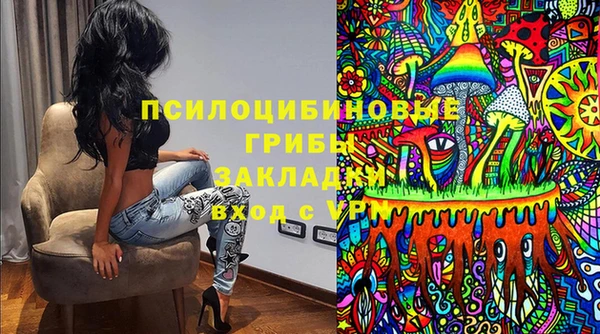 PSILOCYBIN Зеленокумск
