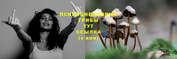 прущие грибы Зеленодольск