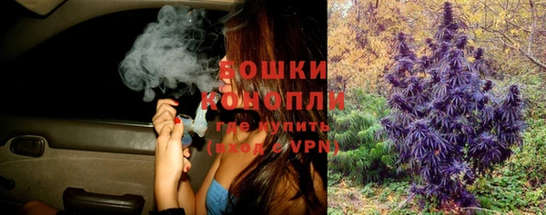 прущие грибы Зеленодольск