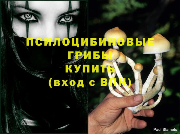 PSILOCYBIN Зеленокумск