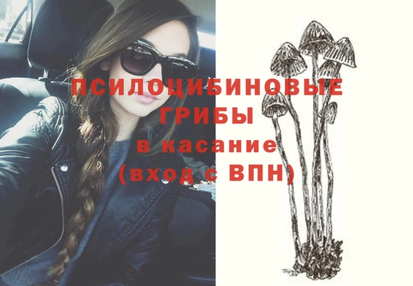 прущие грибы Зеленодольск