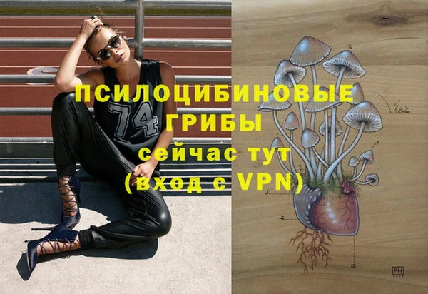 PSILOCYBIN Зеленокумск