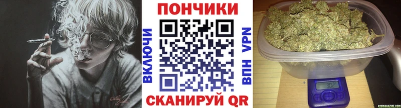 Купить где  Ленинск-Кузнецкий  Канабис планчик 